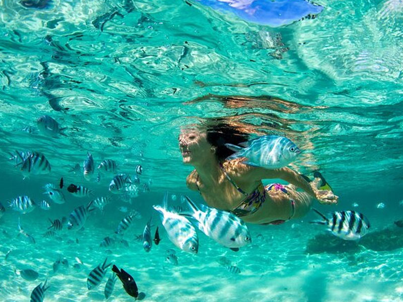 Private Charter to Coral Island