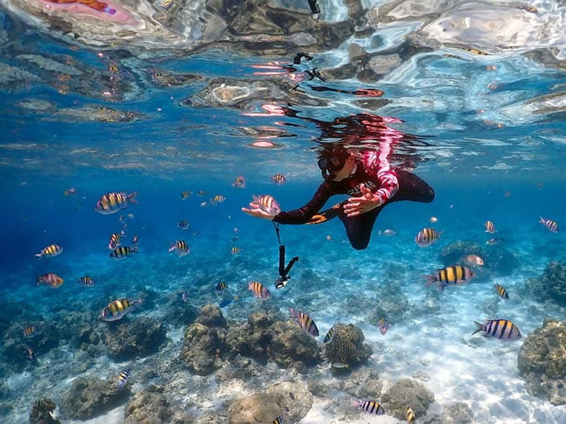 Private charter to Coral & Raya Islands