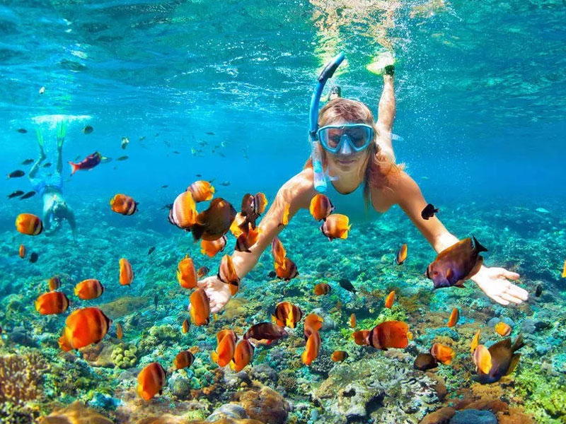 Private charter to Coral & Raya Islands