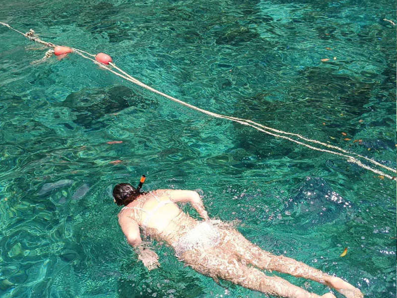 Private Speedboat Charters Phi Phi + Krabi