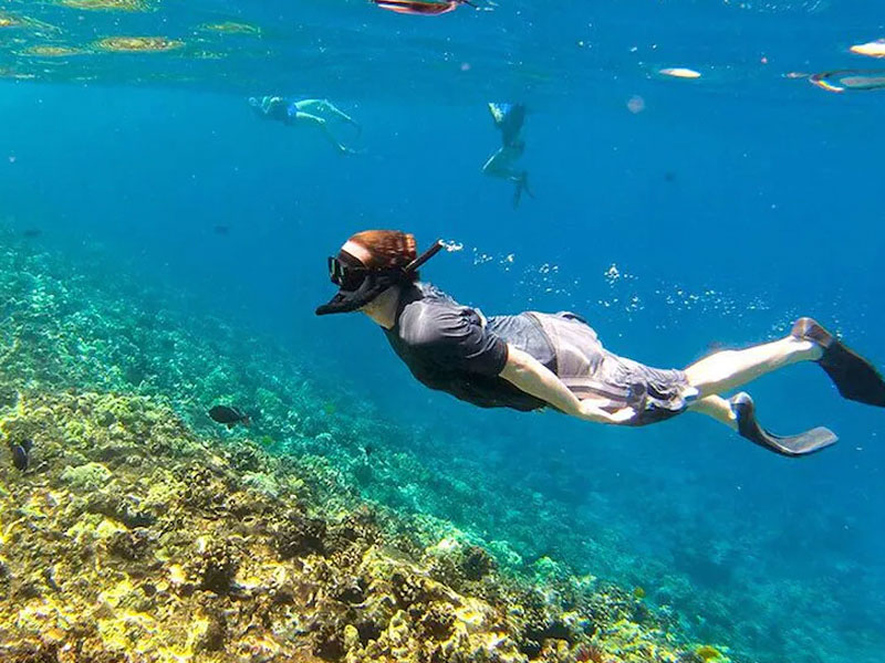 Krabi’s 4 Islands - Speedboat Tour